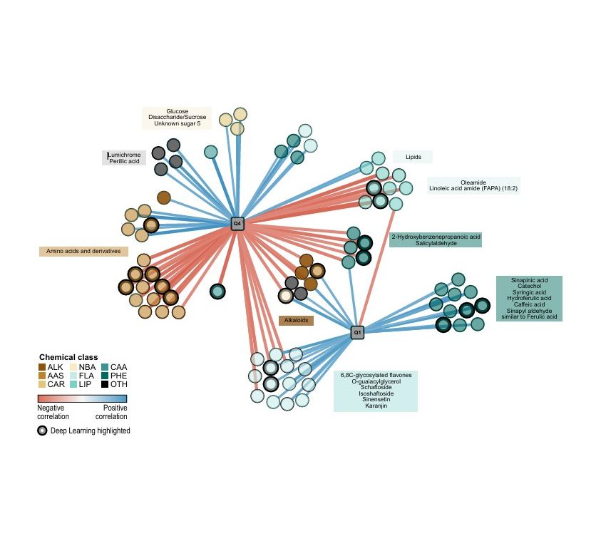 Komplexes Interaktionsnetzwerk von Metaboliten aus Wurzelausscheidungen und BNI-Aktivität in verschiedenen Weizengenotypen. Komplexes Interaktionsnetzwerk von Metaboliten aus Wurzelausscheidungen und BNI-Aktivität in verschiedenen Weizengenotypen.