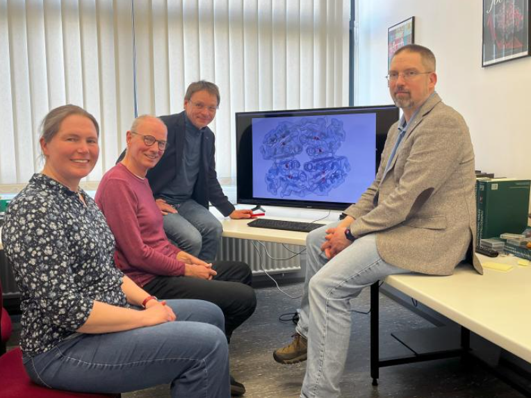 Die vier Projektleitungen des Graduiertenkollegs „Microbial Substrate Conversion“, kurz MiCon, mit der entschlüsselten Proteinstruktur. Die vier Projektleitungen des Graduiertenkollegs „Microbial Substrate Conversion“, kurz MiCon, mit der entschlüsselten Proteinstruktur: Prof. Dr. Julia Bandow, Prof. Dr. Franz Narberhaus, Prof. Dr. Eckhard Hofmann und Prof. Dr. Lars Leichert (von links).