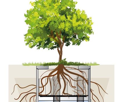 Baumrigole ViaTree