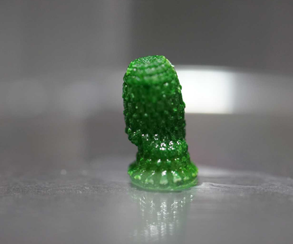 Lebendes Material speichert CO₂ dauerhaft – ETH Zürich entwickelt neuartigen Werkstoff 3D-gedruckte «Ananas», in deren Innern Blaualgen wachsen, nach einer Entwicklungszeit von 60 Tagen.