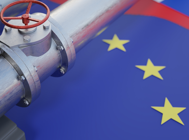 Industrial Accelerator Act (IAA): Industry criticizes "Buy Europe" strategy Industrial Accelerator Act (IAA): Industry criticizes EU Commission's "Buy Europe" strategy