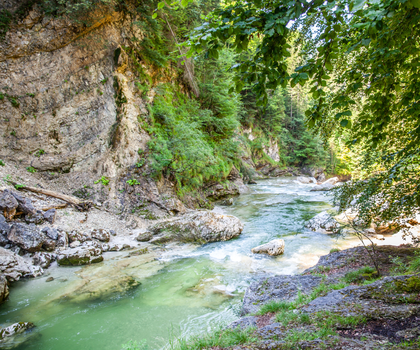 Fluss im Wald an der Tiefenbachklamm Kramsach in Österreich
