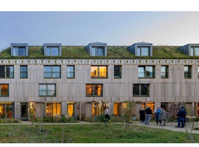 Hortus Ludi Kieferlattung Hortus Ludi Kieferlattung