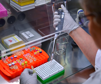Bild aus gentechnischem Überwachungslabors In gentechnischen Überwachungslabors werden unter anderem Pflanzen aus Freisetzungsversuchen, Saatgut, aber auch Proben alle Arten von Laboroberflächen aus gentechnischen Anlagen auf gentechnische Veränderung untersucht.