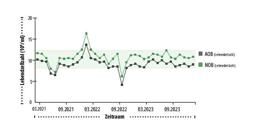 Werte aus einem langfristigen qPCR-Monitoring für Nitrifikanten einer Kläranlage Grafik: Werte aus einem langfristigen qPCR-Monitoring für Nitrifikanten einer Kläranlage