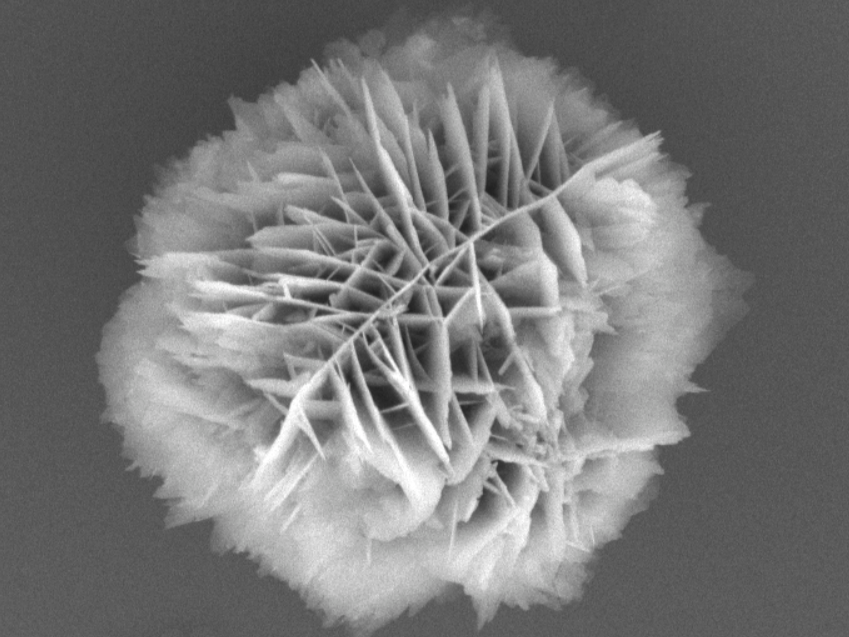 Zinkoxid-Teilchen aus Nanoblättern Zinkoxid-Teilchen aus Nanoblättern