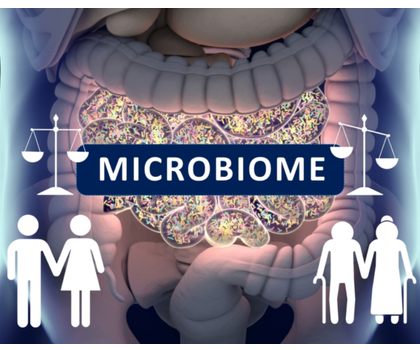 Mikrobiom und Altern: Wenn das Immunsystem die Kontrolle verliert erstellt mit Biorender