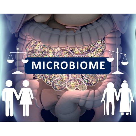 Mikrobiom und Altern: Wenn das Immunsystem die Kontrolle verliert Mikrobiom und Altern: Wenn das Immunsystem die Kontrolle verliert erstellt mit Biorender