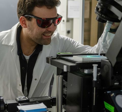 Bioanalytik: Nanosensoren für mehr Sensitivität Bioanalytik: Nanosensoren für mehr Sensitivität