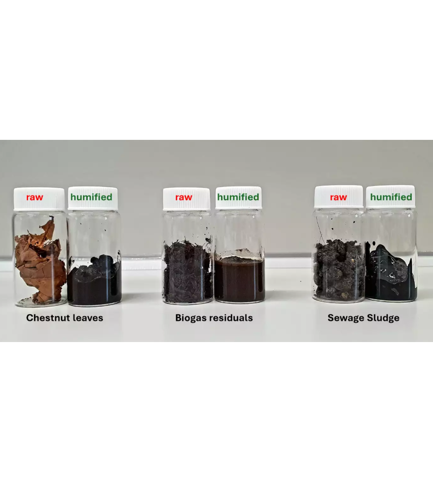 Unterschiedliche Ausgangsmaterialien, die durch hydrothermale Humifizierung in huminstoffreiche Produkte umwandelt wurden. Unterschiedliche Ausgangsmaterialien lassen sich durch hydrothermale Humifizierung in huminstoffreiche Produkte umwandeln. Der Prozess ist flexibel einsetzbar und eignet sich für eine Vielzahl organischer Abfall- und Reststoffströme.