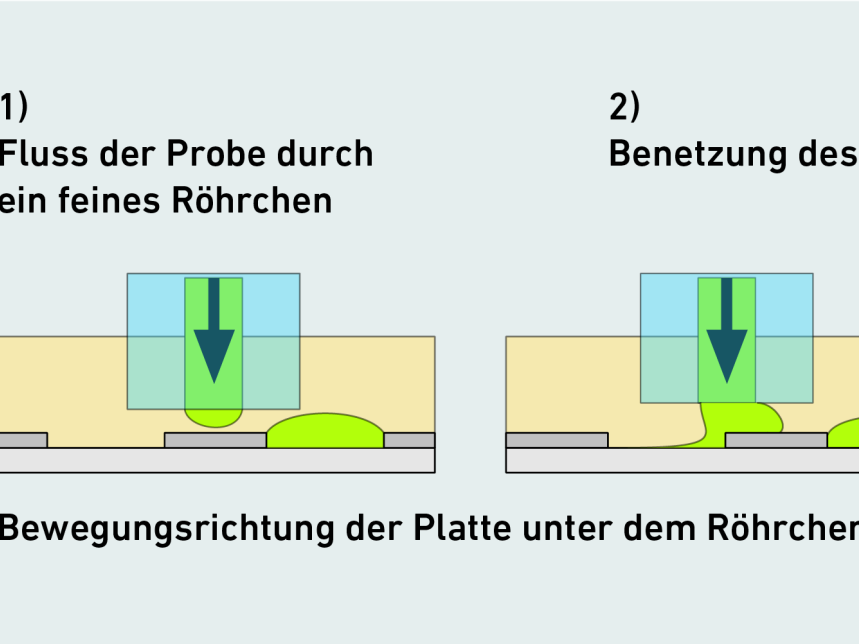 Wirkstoffforschung Die Testlösung (grün) fliesst kontinuierlich durch ein feines Röhrchen (hellblau) und benetzt die wasseranziehenden Stellen auf der Glasplatte. Sobald sich die Platte unter dem Röhrchen weiterbewegt, reisst sich ein kleiner Tropfen ab und bleibt präzise an seinem Platz haften. (Bild: Breitfeld et. al. 2025, S. 3)
