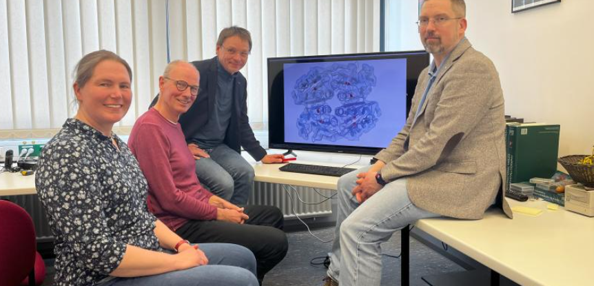 Die vier Projektleitungen des Graduiertenkollegs „Microbial Substrate Conversion“, kurz MiCon, mit der entschlüsselten Proteinstruktur. Die vier Projektleitungen des Graduiertenkollegs „Microbial Substrate Conversion“, kurz MiCon, mit der entschlüsselten Proteinstruktur: Prof. Dr. Julia Bandow, Prof. Dr. Franz Narberhaus, Prof. Dr. Eckhard Hofmann und Prof. Dr. Lars Leichert (von links).