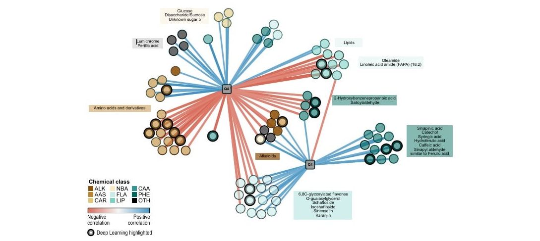 Komplexes Interaktionsnetzwerk von Metaboliten aus Wurzelausscheidungen und BNI-Aktivität in verschiedenen Weizengenotypen. Komplexes Interaktionsnetzwerk von Metaboliten aus Wurzelausscheidungen und BNI-Aktivität in verschiedenen Weizengenotypen.