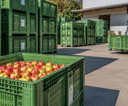 Mehrweglogistik: Behältermanagement: PPWR erhöht den Druck