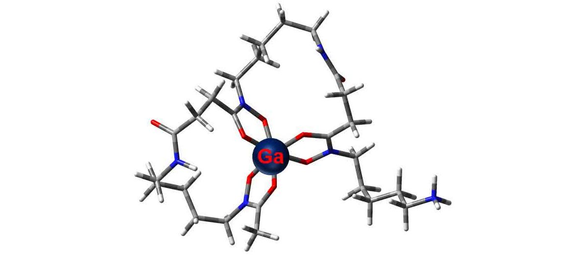 Struktur eines Siderophores mit Gallium Struktur eines Siderophores mit Gallium