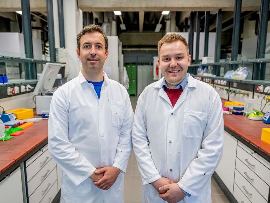 Neues Krebsmedikament: Wirkstoff aktiviert das Immunsystem gegen Metastasen Carlos Plaza Sirvent aus der Medizin (links) und Johannes Karges aus der Chemie haben für die Studie zusammen gearbeitet.