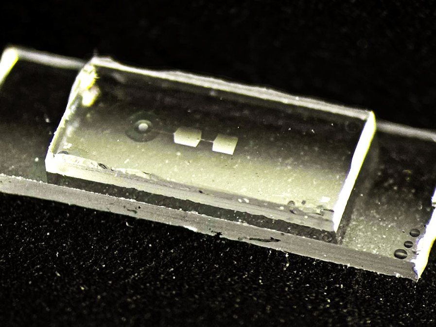 Quantencomputer: Neuer Quantenchip speichert Informationen mit Schwingungen Der neue Quantenchip der ETH-Physikerin Yiwen Chu enthält sogenannte mechanische Resonatoren – winzige Bauteile, die beim Speichern von Informationen zu schwingen beginnen. Der Chip ist rund 7,5 Millimeter lang, 2,5 Millimeter breit und 1 Millimeter hoch und etwa so breit wie ein kleiner Fingernagel.