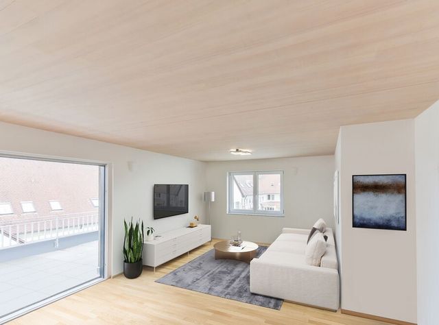 best wood Schneider: CLT Decke XL