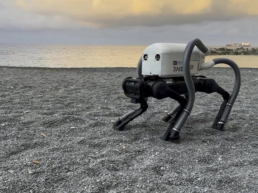 Roboterbasierte Strandreinigung: Sommer, Sonne, Strand – und Zigarettenstummel