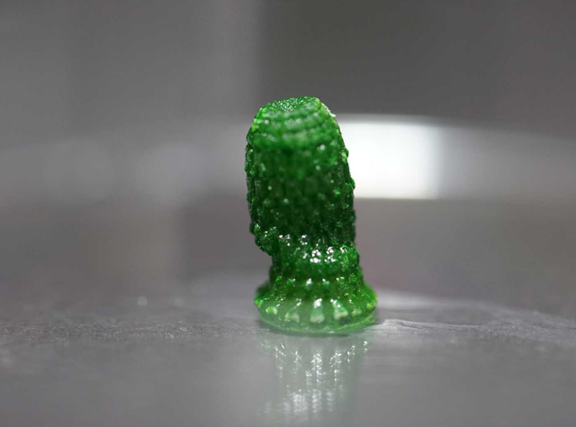 3D-gedruckte «Ananas», in deren Innern Blaualgen wachsen, nach einer Entwicklungszeit von 60 Tagen.