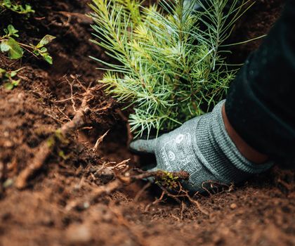 Handschuhhersteller Seiz startet Forschungsprojekt zur Kreislaufwirtschaft