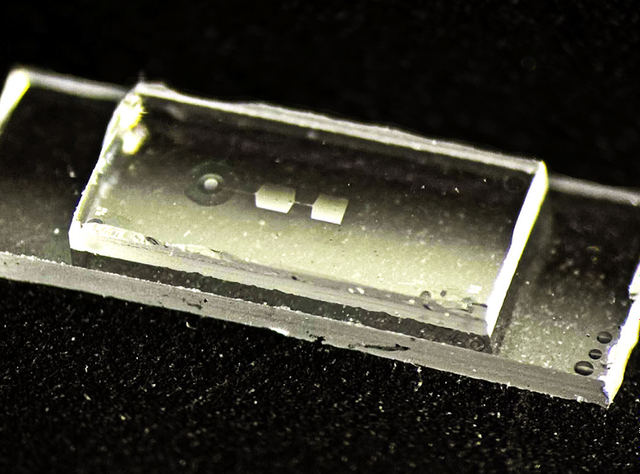 Der neue Quantenchip der ETH-Physikerin Yiwen Chu enthält sogenannte mechanische Resonatoren – winzige Bauteile, die beim Speichern von Informationen zu schwingen beginnen. Der Chip ist rund 7,5 Millimeter lang, 2,5 Millimeter breit und 1 Millimeter hoch und etwa so breit wie ein kleiner Fingernagel.