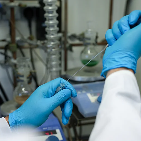 Bakterien aushungern: Neuer Wirkstoffansatz gegen resistente Infektionen HAnd eines Labormitarbeitenden mit Laborhandschuh. Bild zum Artikel HIPS-Forscher:innen identifizieren einen neuen Angriffspunkt für Antibiotika