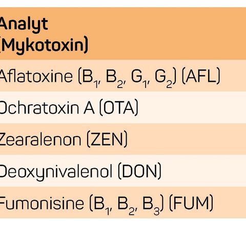 Analytik für mehr Lebensmittelsicherheit: Mykotoxine mit einem Multiplexing-Immunoassay identifizieren Analytik für mehr Lebensmittelsicherheit: Mykotoxine mit einem Multiplexing-Immunoassay identifizieren