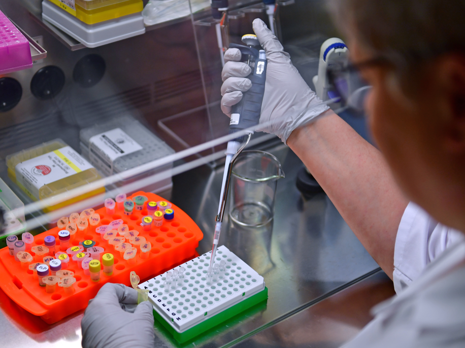 In gentechnischen Überwachungslabors werden unter anderem Pflanzen aus Freisetzungsversuchen, Saatgut, aber auch Proben alle Arten von Laboroberflächen aus gentechnischen Anlagen auf gentechnische Veränderung untersucht.