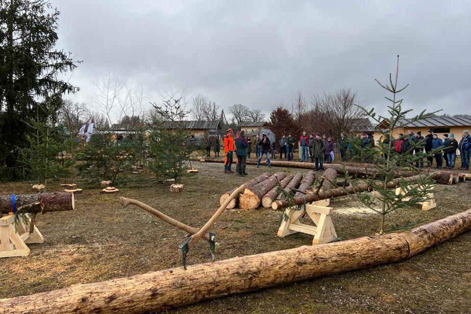 “Holz in Aktion“ “Holz in Aktion“