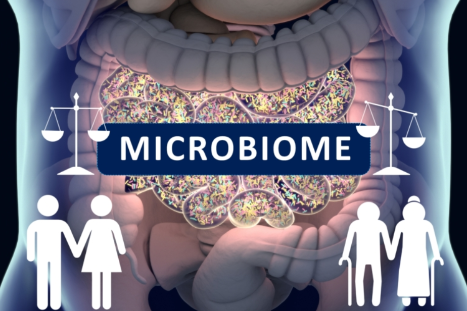 Mikrobiom und Altern: Wenn das Immunsystem die Kontrolle verliert erstellt mit Biorender