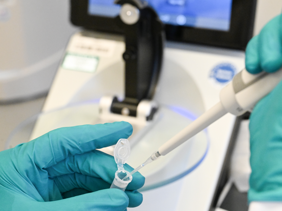 Ein Mitarbeiter pipettiert in einem Labor des biopharmazeutischen Unternehmens Curevac.