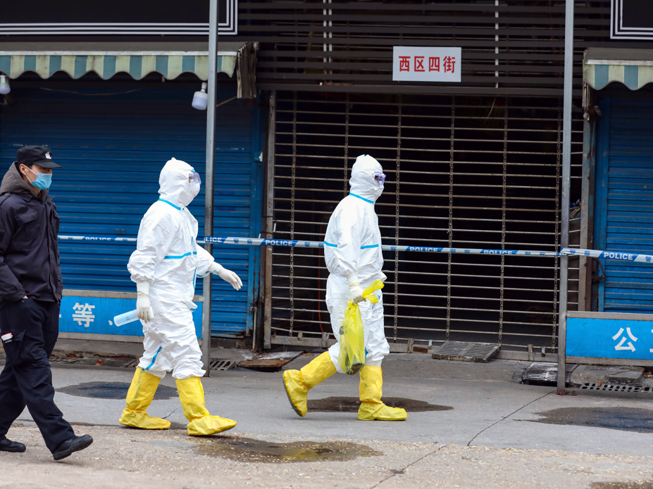Covid-19 Stammt das Virus aus dem Labor oder aus Wildtieren Arbeiter in Schutzkleidung tragen eine Tasche, in der sich ein Riesensalamander befindet, der vom Huanan Seafood Market entkommen sein soll.