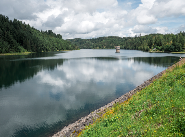 Wie wirkt sich der Klimawandel auf unsere Trinkwasserqualität aus? Blick auf die Mauthaustalsperre: Wie wirkt sich der Klimawandel auf unser Trinkwasser aus?