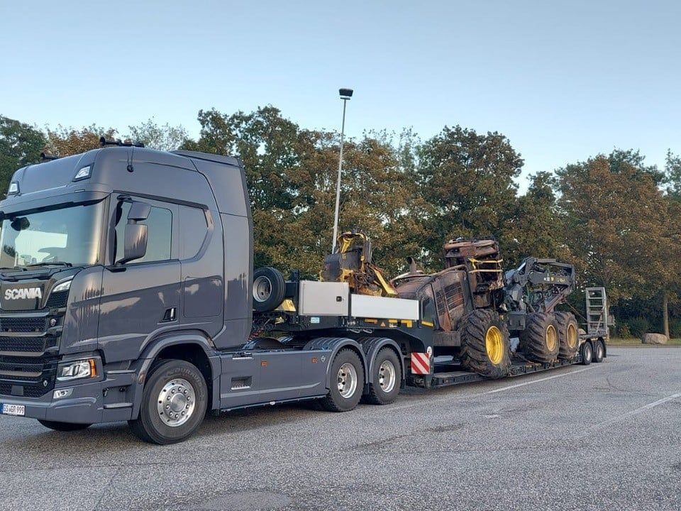 Ein Panther für Deutschlands Wälder