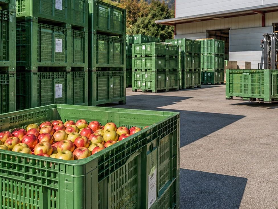 Mehrweglogistik: Behältermanagement: PPWR erhöht den Druck