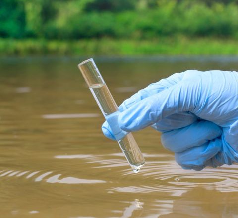 Wasserprobe Wasserprobenahme aus einem Fluss (behandschuhte Hand mit Wasserprobe im Glasbehälter)