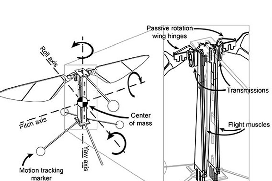 Miniatur-Roboterfliege - die Stubenfliege zum Vorbild Miniatur-Roboterfliege - die Stubenfliege zum Vorbild