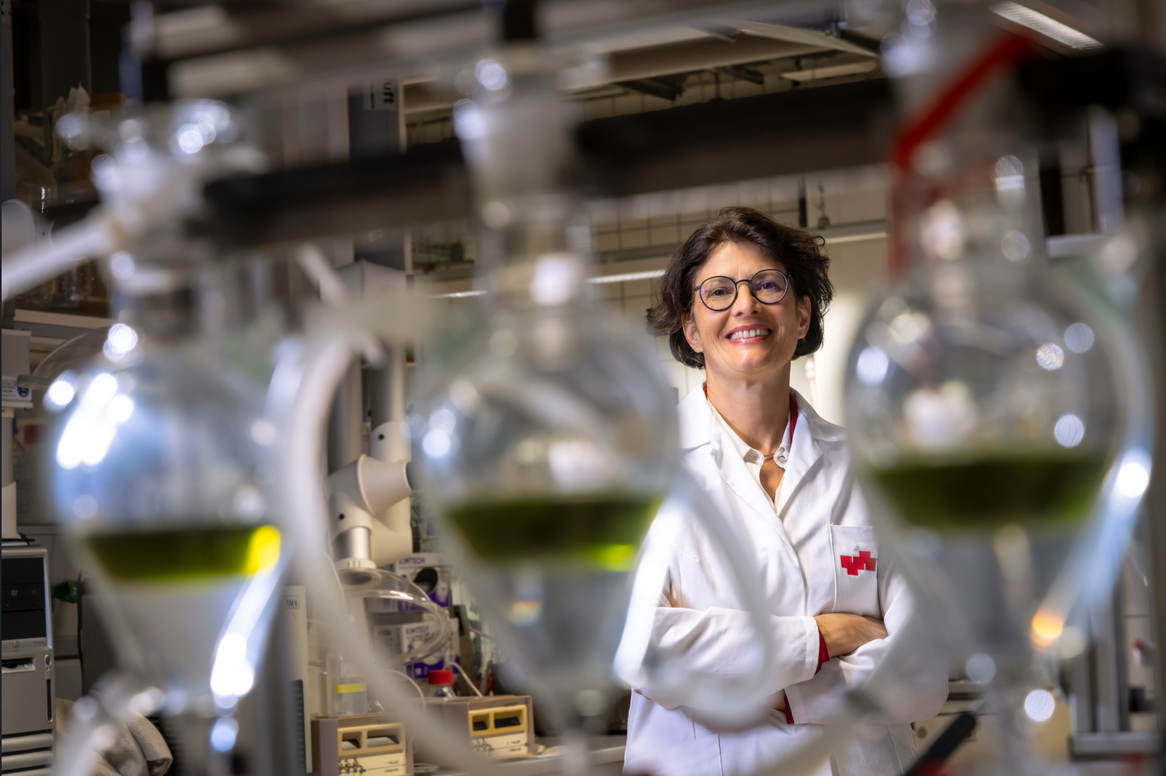 Nachhaltige Luftfahrt: Flugzeugtreibstoff aus Tomatenresten: ToFuel-Projektleiterin Marlene Kienberger ToFuel-Projektleiterin Marlene Kienberger vom Institut für Chemische Verfahrenstechnik und Umwelttechnik der TU Graz.