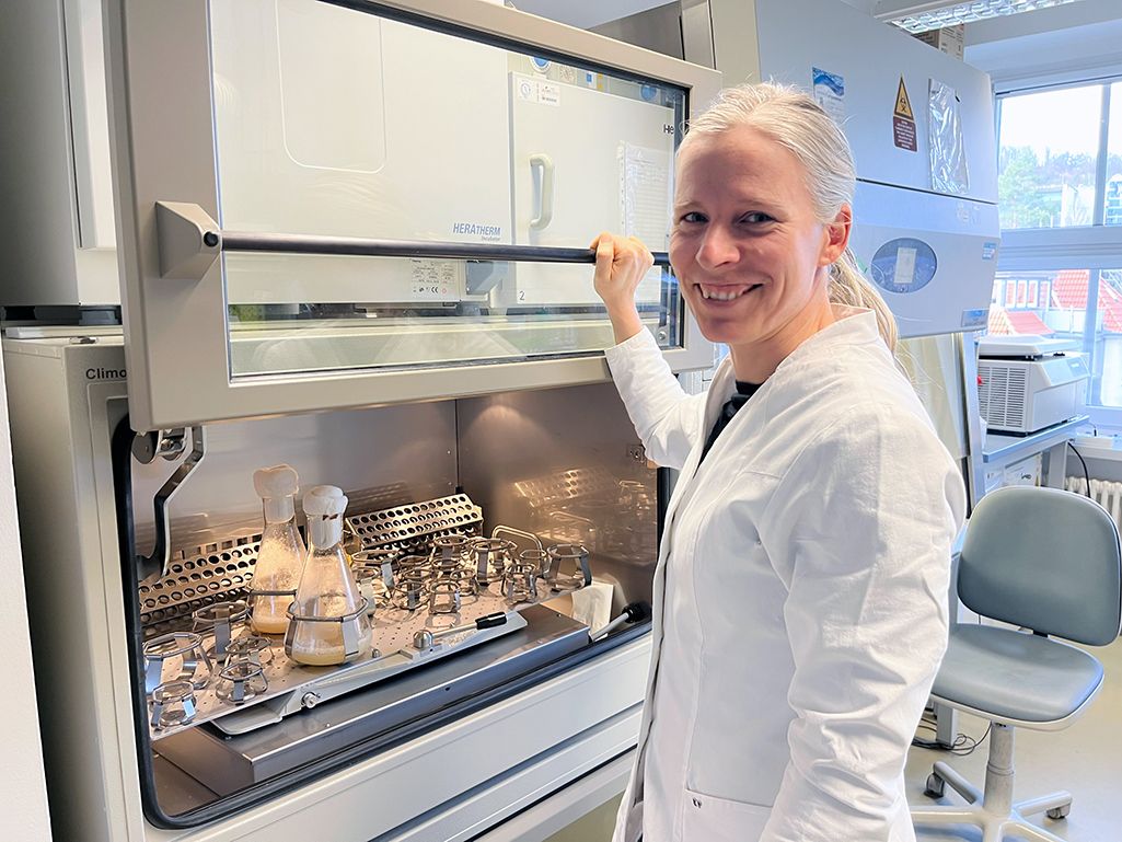 Antibiotikaforschung: Enzym schützt vor Toxin der Tropenbakterien Die Wissenschaftlerin Ingrid Richter bei der Laborarbeit am Leibniz-HKI. Im Team von Christian Hertweck war sie an Experimenten, Datenauswertung und der Erstellung der Studie beteiligt – deren Ergebnisse basieren auf der intensiven Zusammenarbeit und dem kombinierten Know-how des gesamten Forschungsteams.