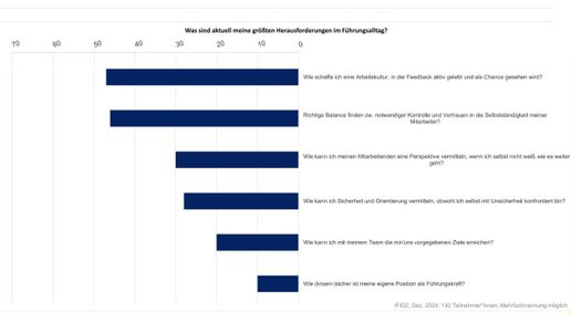 IFIDZ: Führungskräfte -  stark gefordert und oft überfordert