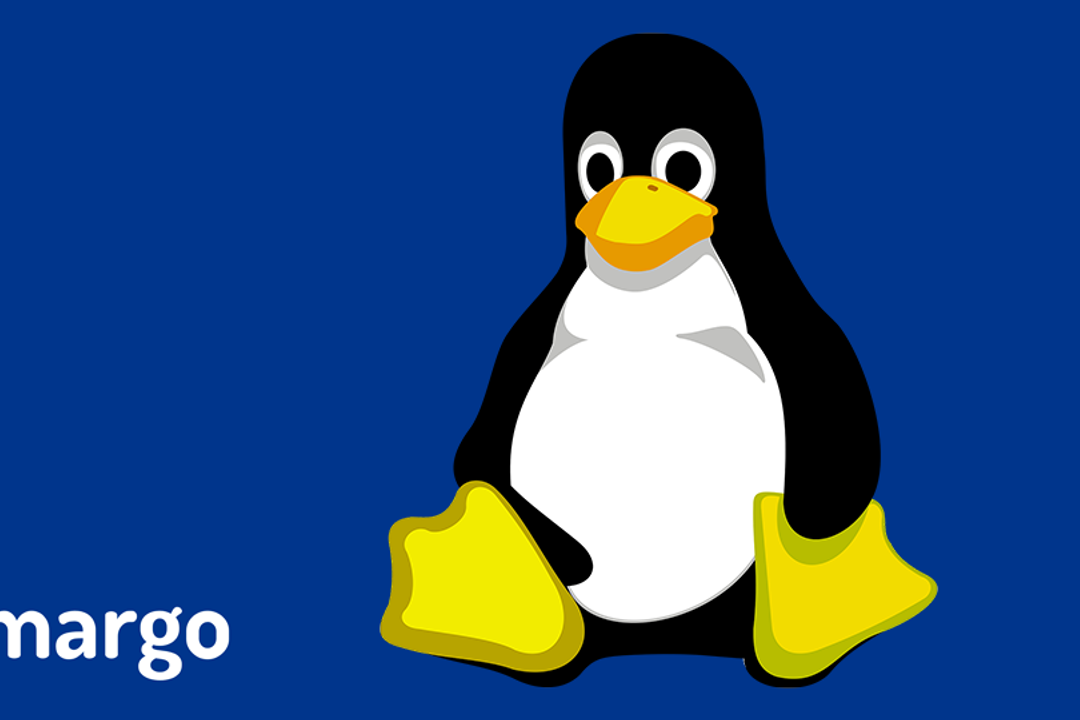 Linux Foundation Launches Margo