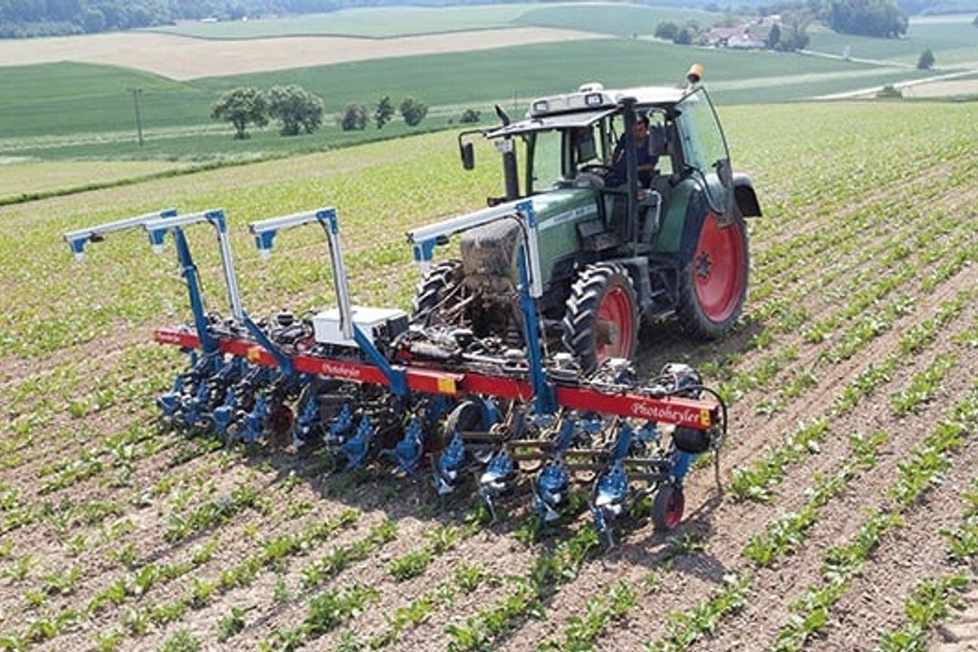 Hackwerkzeuge beim Unkraut jäten positionieren