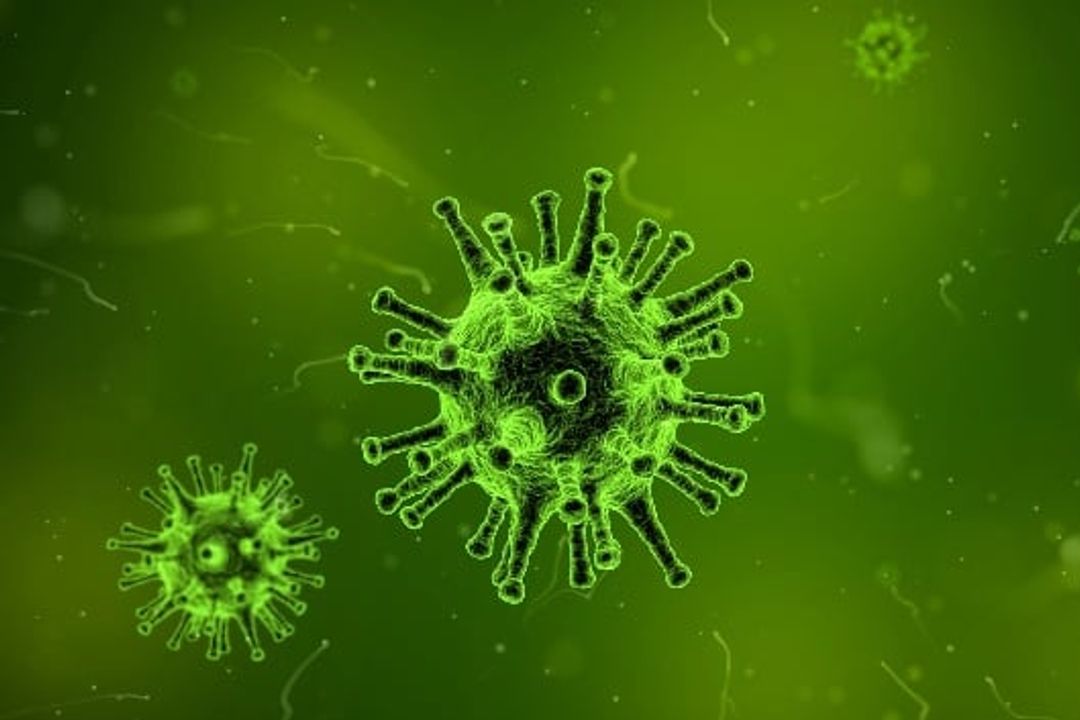 Coronavirus Coronavirus