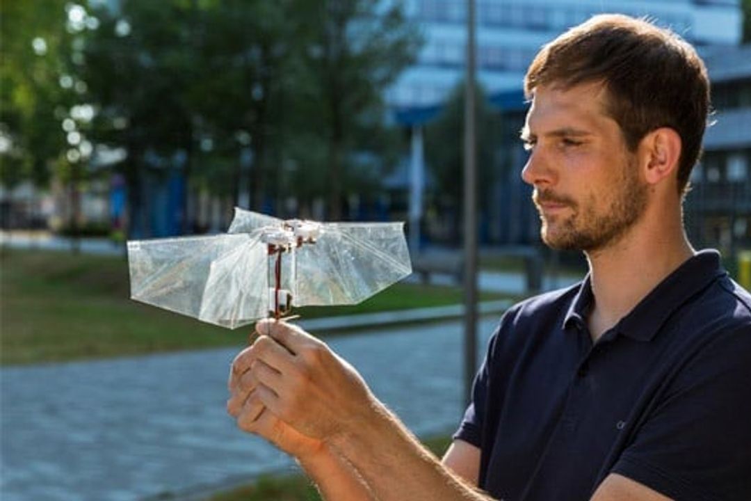 Lead developer Matej Karásek with his flying robot DelFly Nimble Lead developer Matej Karásek with his flying robot DelFly Nimble