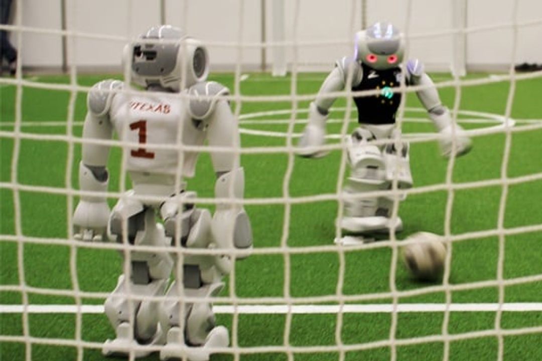 6_Nao robot in front of the gate 6_Nao robot in front of the gate