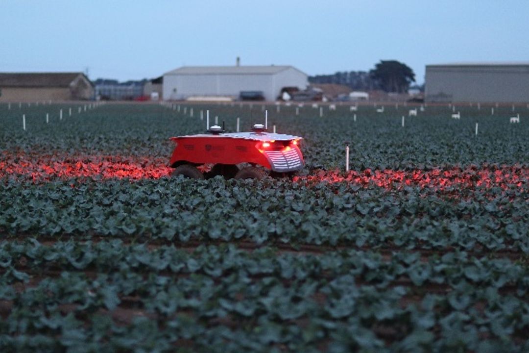 A new depth detection algorithm was also tested, which enables Rippa to detect and then remove weeds. A new depth detection algorithm was also tested, which enables Rippa to detect and then remove weeds.