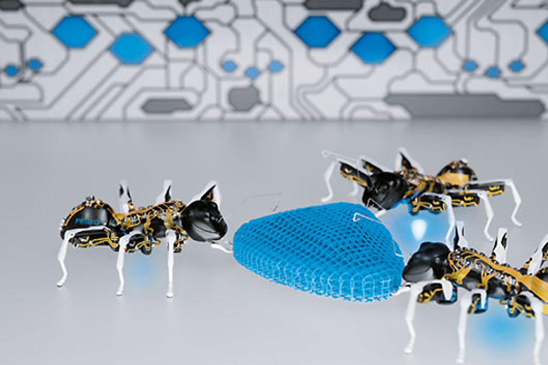 Bionic Ants transportieren Gegenstand Bionic Ants transportieren Gegenstand