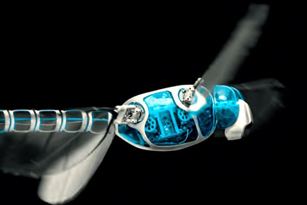 Festo, Libelle BionicOpter, T Festo, Libelle BionicOpter, T