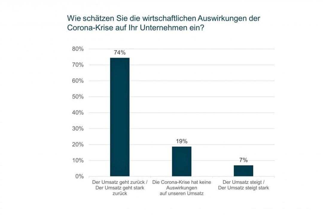 The DSAG survey in figures